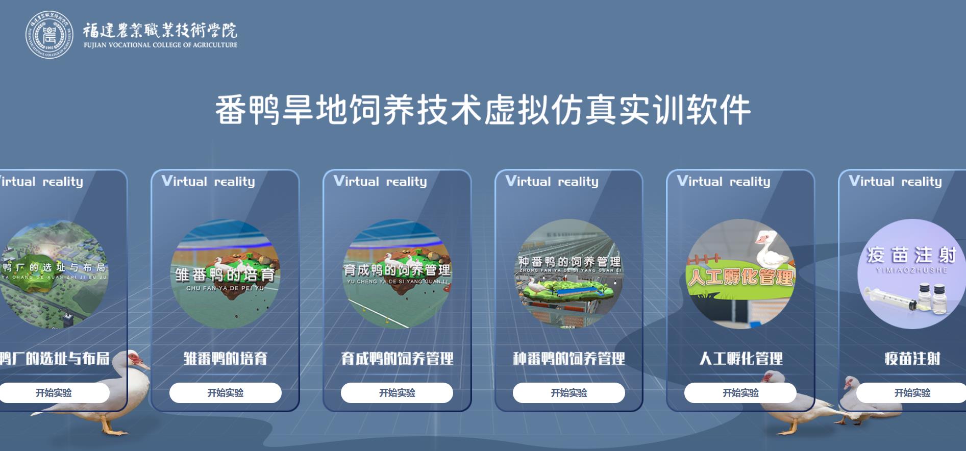 番鸭旱地饲养技术虚拟仿真实训软件