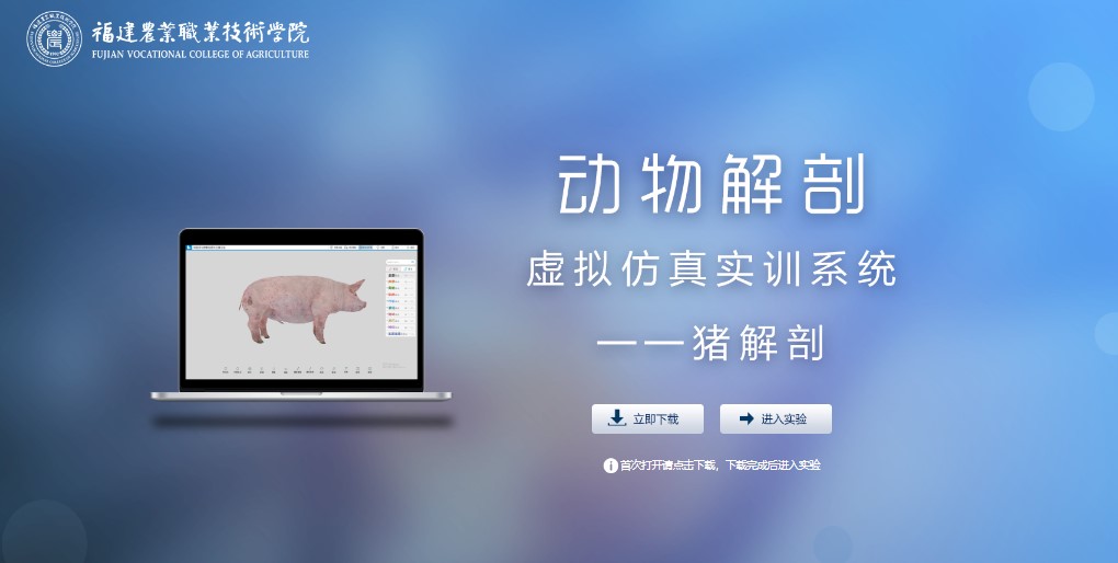 （下载版）3D数字猪解剖