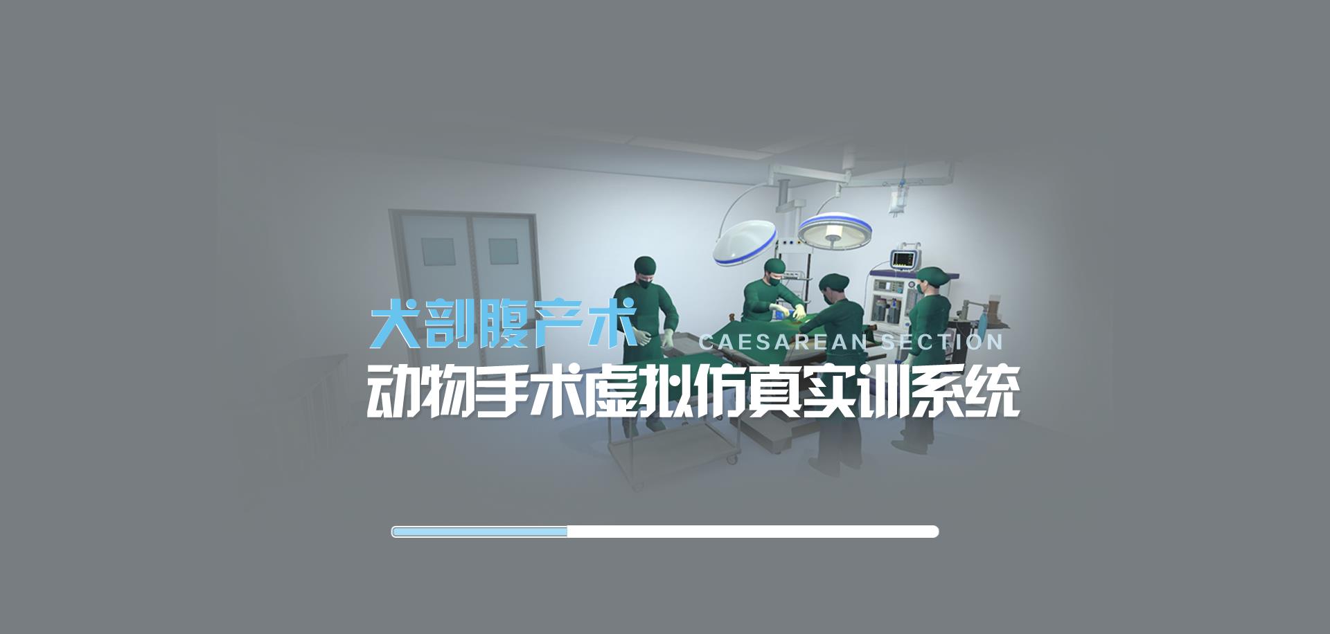 犬剖腹产手术仿真实训教学系统