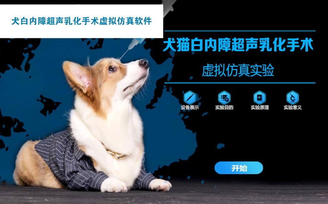 犬白内障超声乳化手术虚拟仿真软件