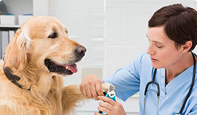 食品企业合规管理