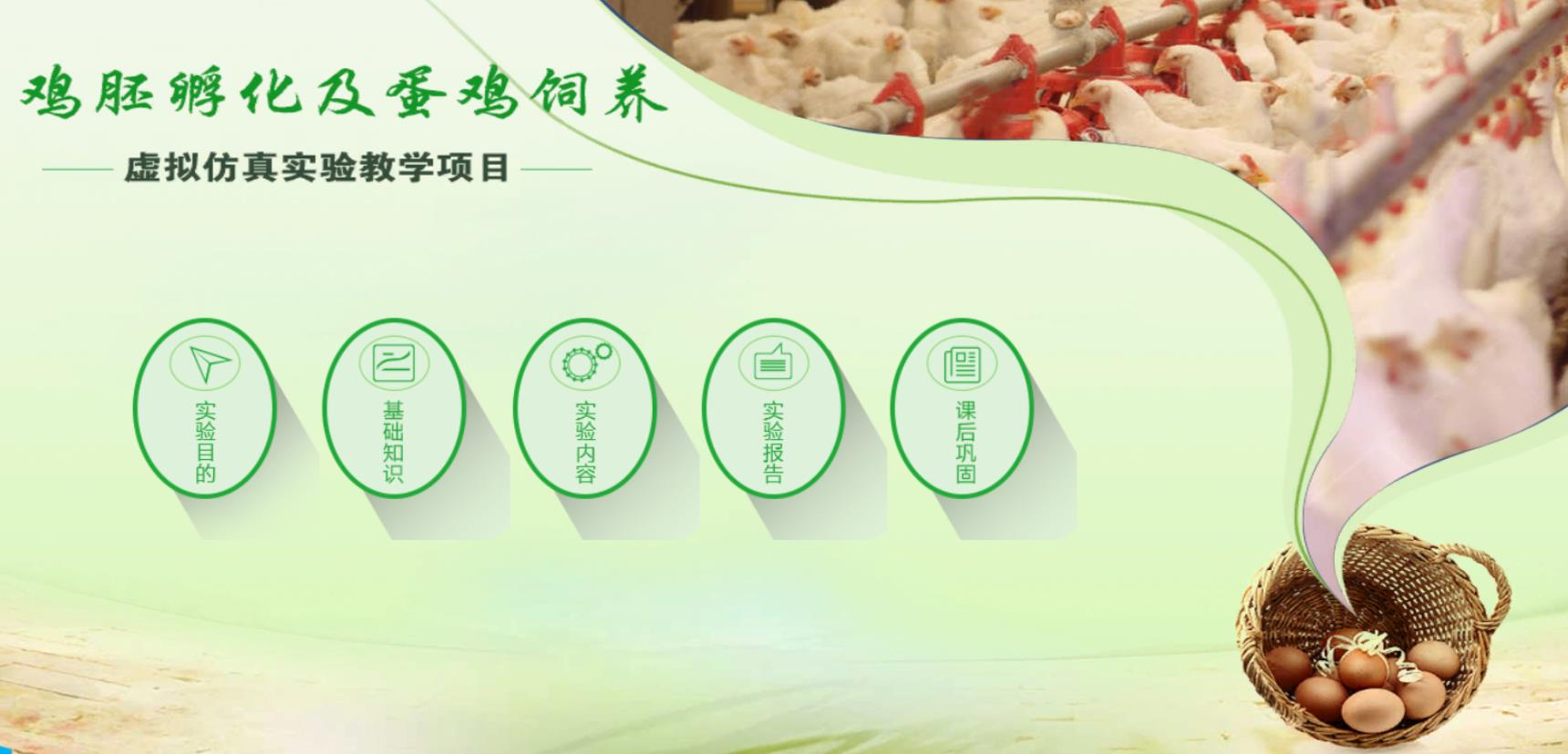 鸡胚孵化及蛋鸡饲养虚拟仿真实验系统软件