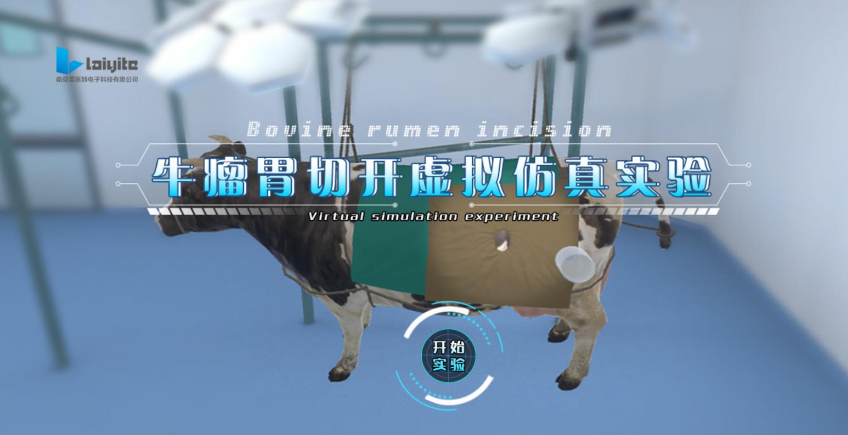 瘤胃切开术虚拟仿真实验系统软件