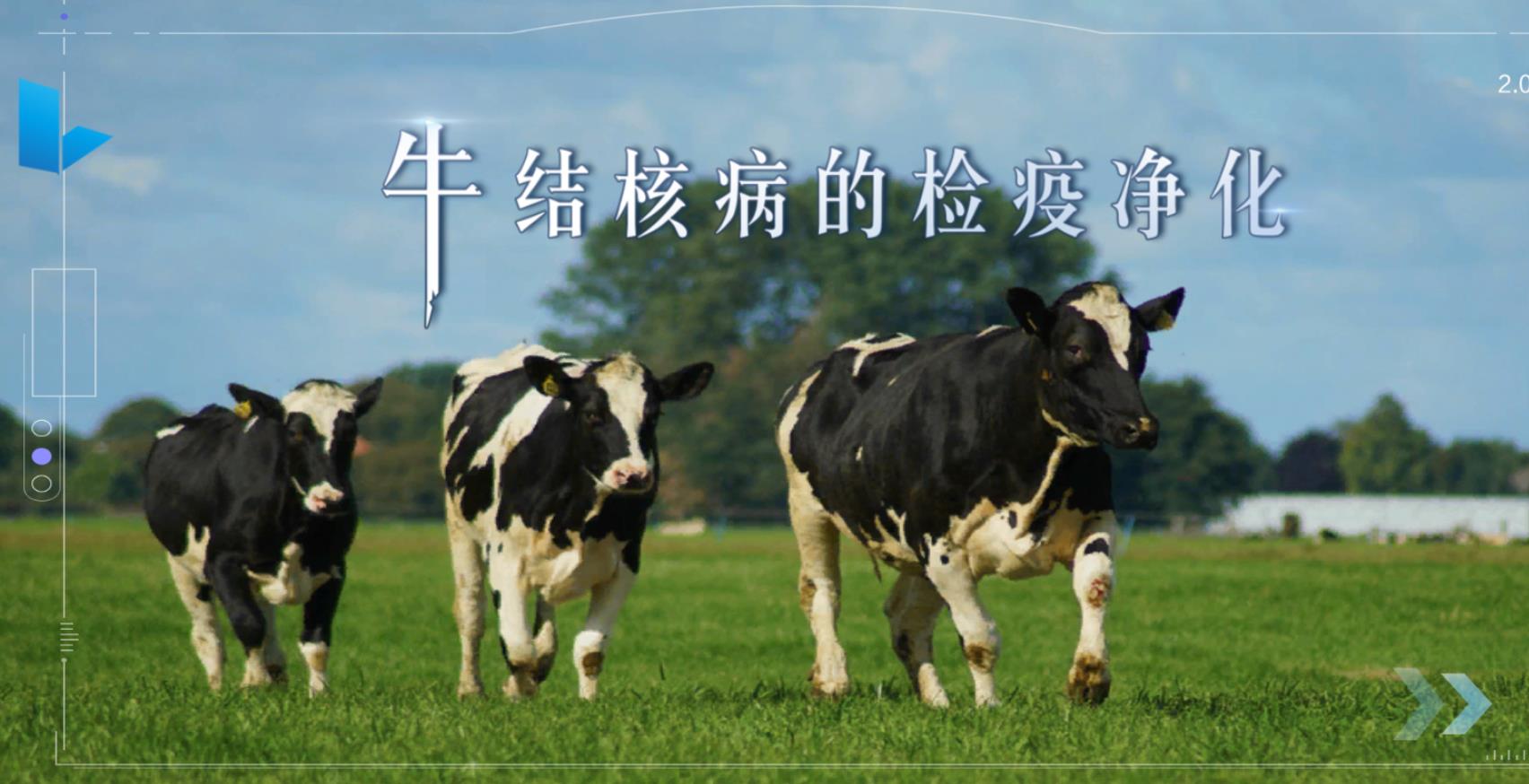 test乳制品加工技术